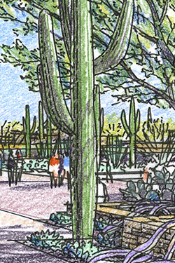 Desert Botanical Garden Master Plan Secondary 2