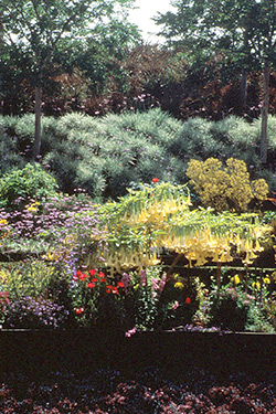 Getty Center Central Garden Secondary 2