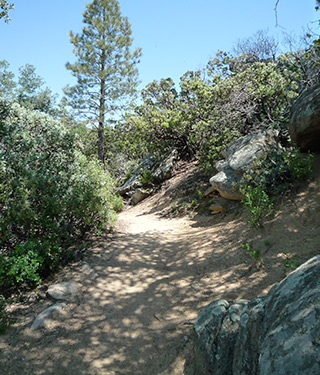 San Dieguito River Valley Secondary 3