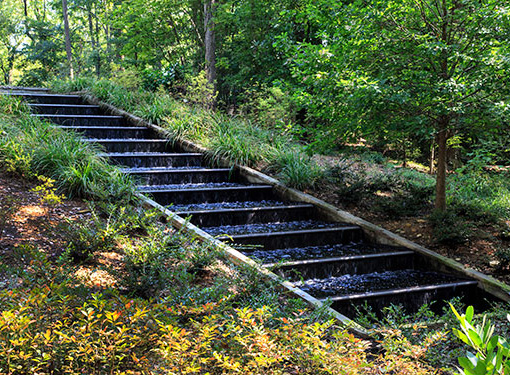 Gardens in Storza Woods Secondary 4