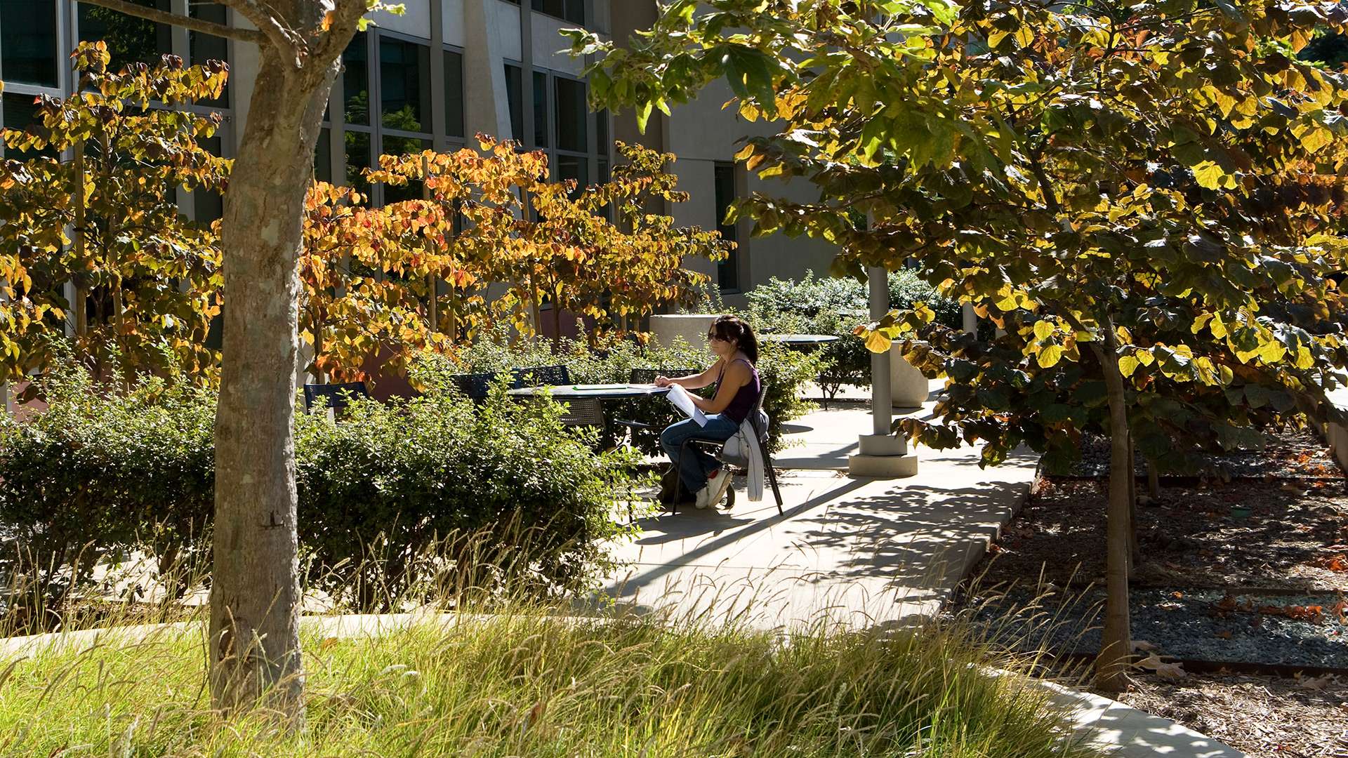 UCSD Academic Court | Spurlock
